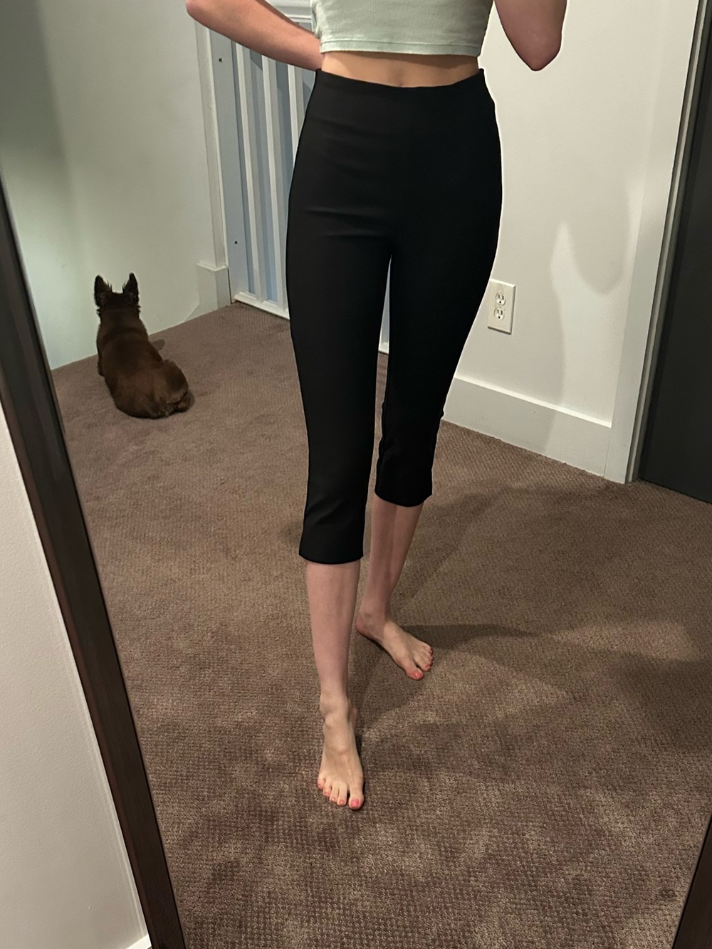 Rachel Zoe Black Cropped Capri Ponte Pants